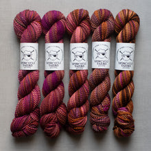 Load image into Gallery viewer, Five skeins of multicolored yarn with Spincycle Yarns labels on a gray background
