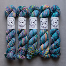 Load image into Gallery viewer, spincycle yarns multicolor yarn hanks