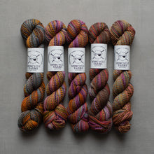 Load image into Gallery viewer, Dyed in the Wool - Spincycle Yarns