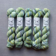 Load image into Gallery viewer, Five skeins of green and blue yarn with Spincycle Farms labels on a gray background