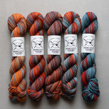 Load image into Gallery viewer, Five skeins of multicolored yarn with Spincycle Yarns labels on a gray background