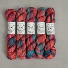 Load image into Gallery viewer, spincycle yarns yarn hanks