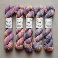 Load image into Gallery viewer, row of multi-colored spincycle yarns yarn hanks