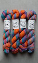 Load image into Gallery viewer, Dyed in the Wool - Spincycle Yarns