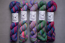 Load image into Gallery viewer, multi color spincycle yarns yarn hanks