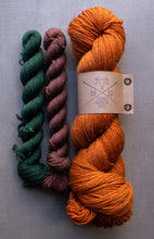 Load image into Gallery viewer, Dulcimer Sock Kits