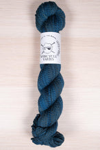 Load image into Gallery viewer, Dyed in the Wool - Spincycle Yarns - The Farmer&#39;s Daughter Fibers