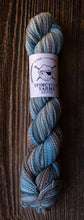 Load image into Gallery viewer, Dyed in the Wool - Spincycle Yarns in